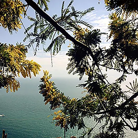 L'antico Borgo Dei Limoni Bed & Breakfast
