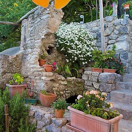 فندق مبيت وإفطار L'antico Borgo Dei Limoni أمالفي