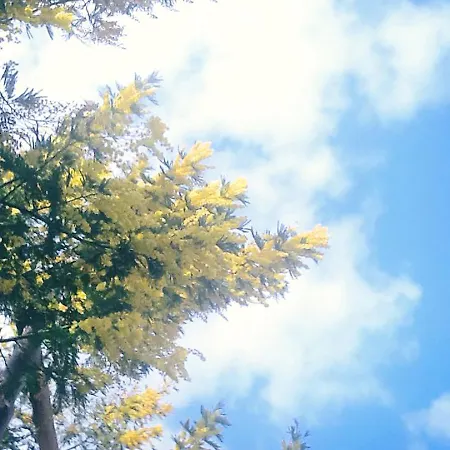 فندق مبيت وإفطار L'antico Borgo Dei Limoni
