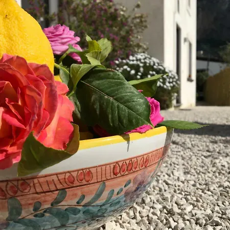 فندق مبيت وإفطار L'antico Borgo Dei Limoni أمالفي